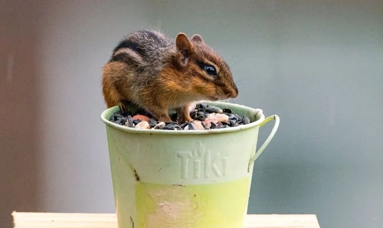 « Maman, tu ne m’as jamais comprise » : Comment j’ai perdu ma fille après mon divorce