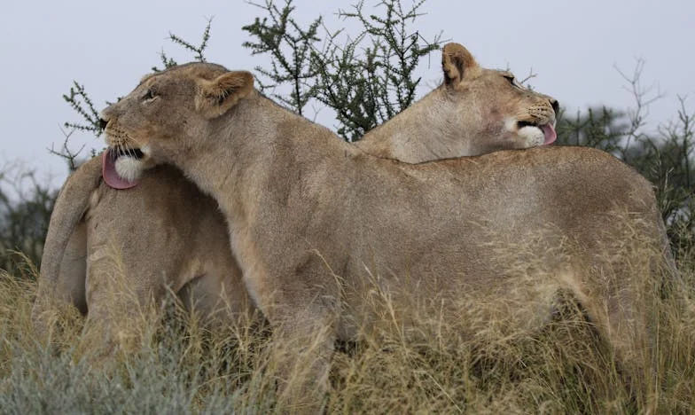 Mon fils a tout quitté pour suivre sa passion… et j’ai compris trop tard ce que cela voulait dire