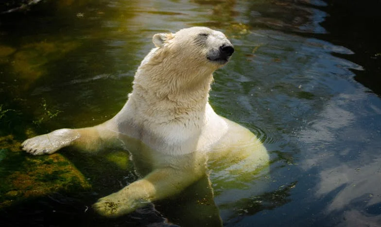 Mon fils nous présente sa fiancée… et je découvre qu’elle a détruit la vie de ma fille