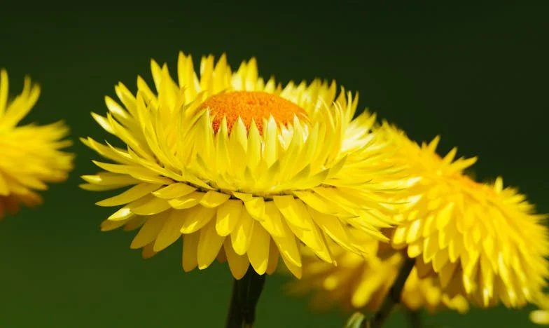 Mon fils s’est éloigné de moi après la naissance de son enfant… et la vérité m’a brisée