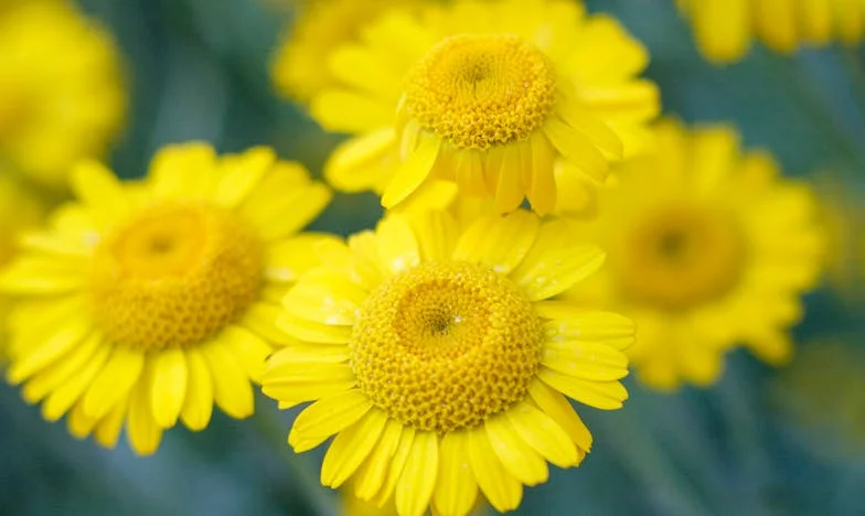 « Pendant des années, j’ai cru être une mauvaise mère : ce que ma fille adulte m’a révélé a bouleversé ma vie »