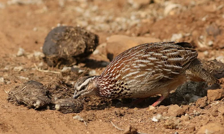 À 70 ans, seule dans mon appartement parisien : comment retrouver la joie quand la famille s’éloigne ?