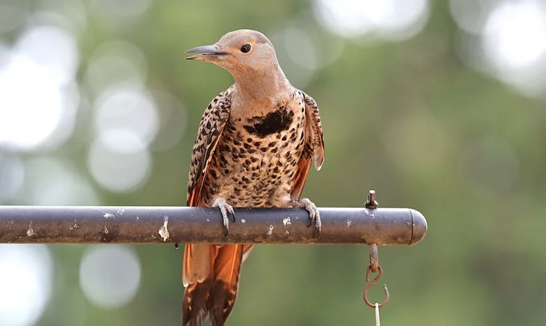 Ce train qui a bouleversé ma vie : le jour où tout a basculé à la gare de Lyon