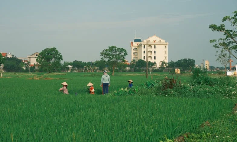 Élever l’enfant d’une autre : le combat invisible d’une belle-mère française