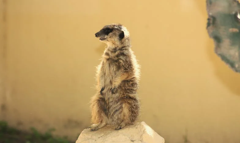 J’ai failli tout perdre : comment la foi m’a sauvée de l’effondrement de mon mariage