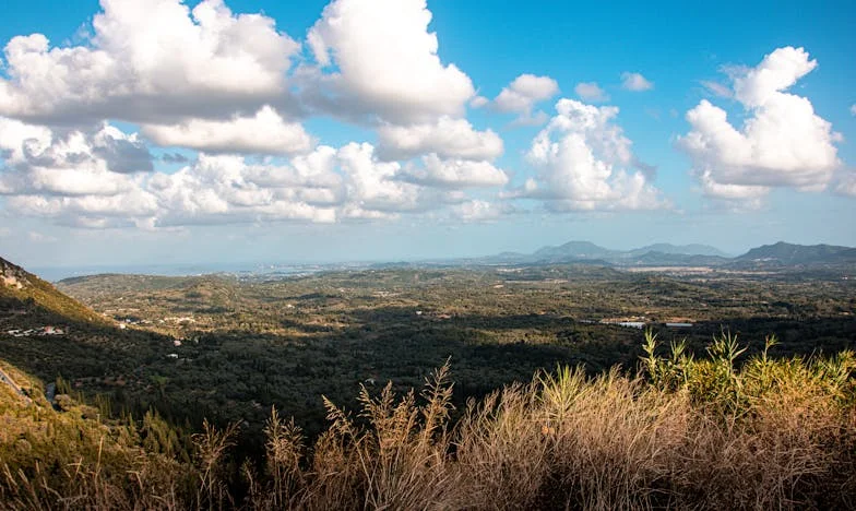 « J’ai menti à ma fille : je n’attends qu’elle et ma petite-fille à la maison – mais pas mon gendre »