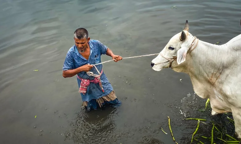 J'ai mis la voiture de mon frère à mon nom : le début d'un cauchemar financier et familial