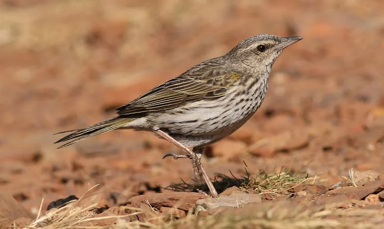 J’ai perdu connaissance devant toute ma famille… parce que mon mari m’a laissée seule avec notre bébé. Est-ce la fin de notre couple ?