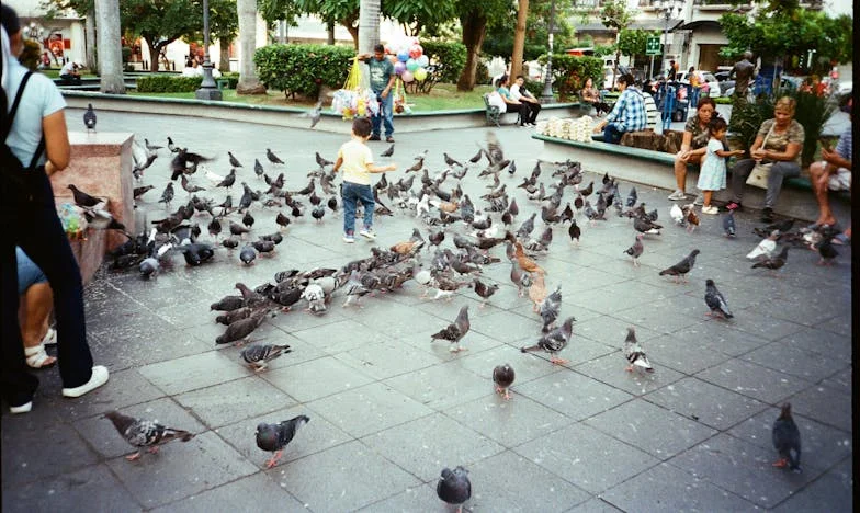Le fossé entre Mamie Marguerite et moi : chronique d’un dimanche qui a tout changé