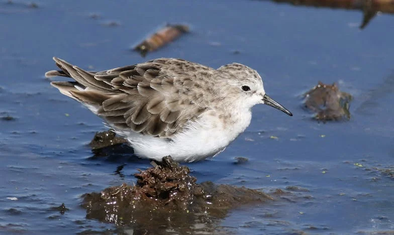 Le jour où tout a basculé : un après-midi pluvieux, une conversation avec Mamie, et la vérité éclate
