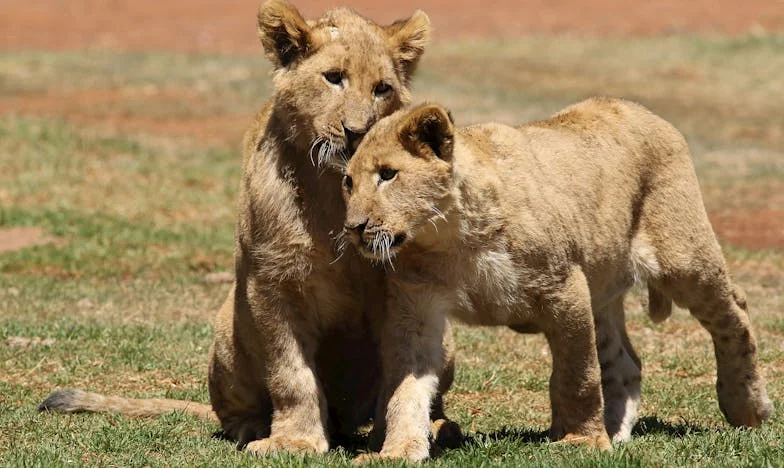 Le testament qui a brisé ma famille : la vérité cachée derrière l’héritage de ma mère