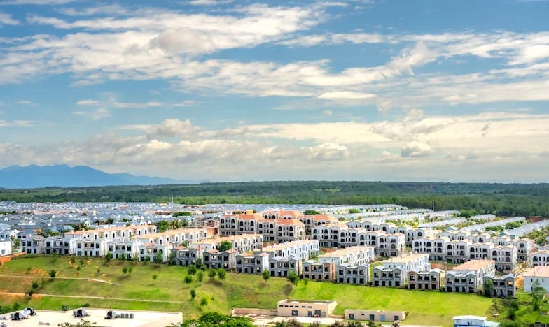 Ma belle-mère a débarqué avec un seau de tomates trop mûres… et notre fils a eu bien plus que des légumes