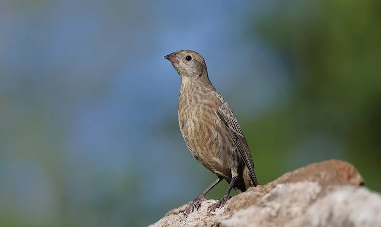 Ma fille ne m’appartient plus : le combat d’une mère face à l’amour toxique de sa fille