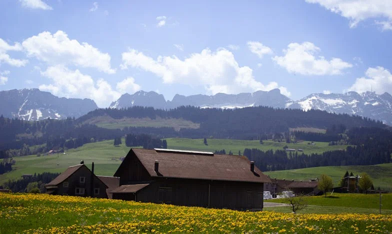 Mariée à un homme, mais prisonnière de sa mère : mon combat pour exister dans mon propre couple