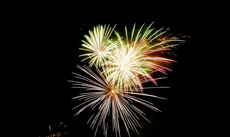 Notre premier anniversaire : une soirée inoubliable… pour de mauvaises raisons