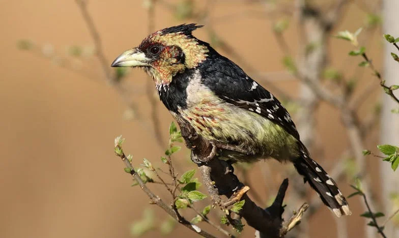 Quand l’aide familiale devient un poison : Mon histoire entre amour, secrets et trahisons