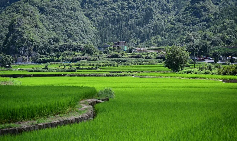 « Si mon mari veut partir, qu’il parte. Je m’occuperai seule de mon petit-fils » : Le choix d’une mère pour sa fille et sa famille