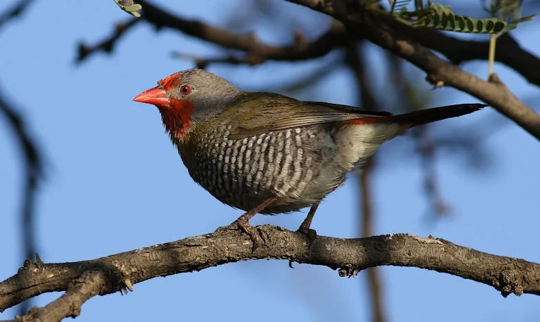 Trois ans plus tard : Quand la garde des petits-enfants devient une prison silencieuse