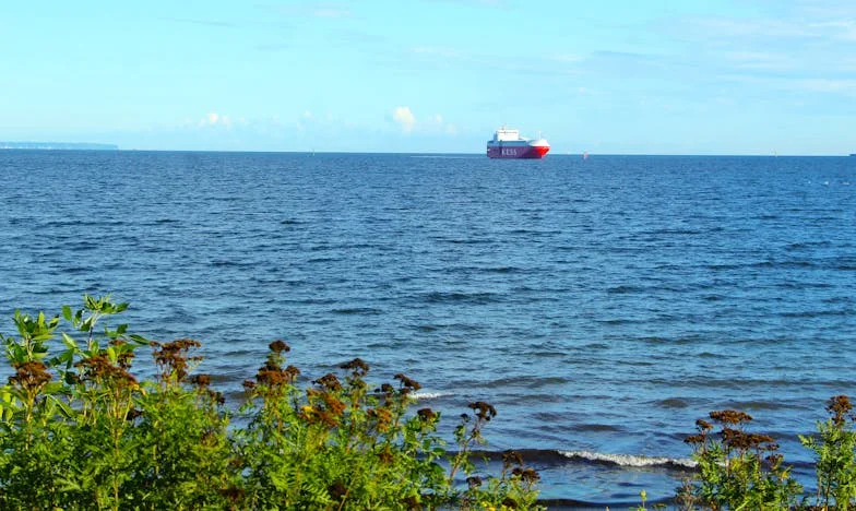 « Adieu à mon enfance : Comment la fin de ‘Émilien & ses amis’ a bouleversé ma famille »