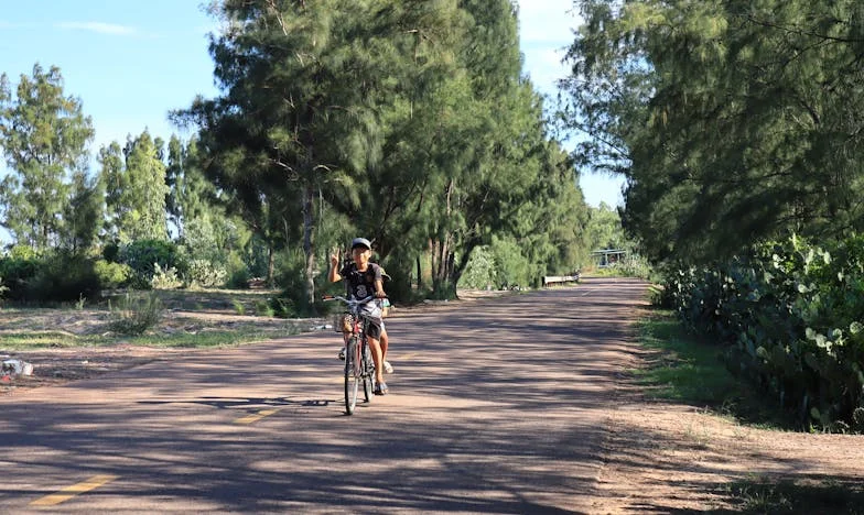 J’ai tout sacrifié pour ma fille, et aujourd’hui elle m’a oubliée : l’histoire d’une mère française déchirée