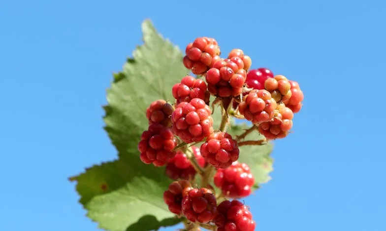 Le jour où j'ai découvert que j'étais père : une vérité qui a brisé ma famille