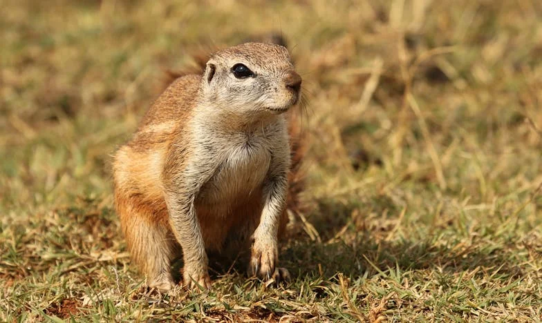 Le jour où j’ai dû choisir entre ma fille et ma famille : une mère peut-elle vraiment tout sacrifier ?