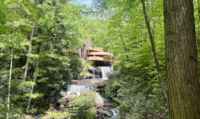 Le jour où tout a basculé : Mon histoire d'une trahison familiale à Lyon