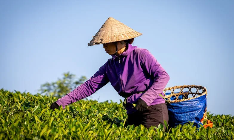 Lettre inattendue : Quand ma mère a brisé le silence pour demander de l’aide