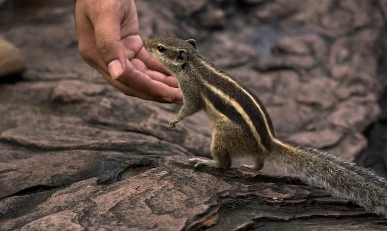 Ma belle-mère refuse de me parler : comment survivre à l’indifférence dans ma propre famille ?