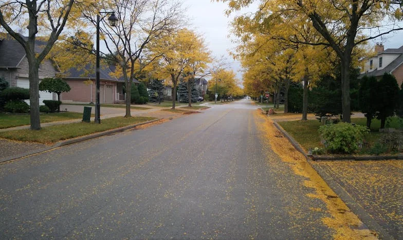 « Maman a promis de l’argent à mon frère pour sa voiture. Trois ans plus tard, c’est moi qui paie le prix… »