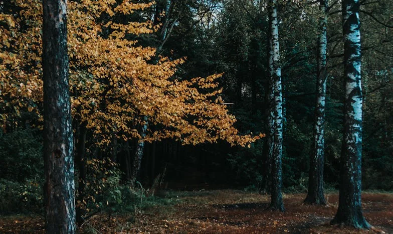 « Maman, tu te fais des idées » : Quand mes enfants adultes n’ont plus besoin de moi
