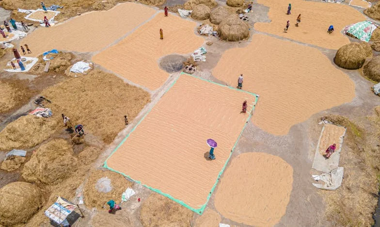 « Mon anniversaire, ce n’est pas pour la famille » – Le jour où j’ai osé dire non