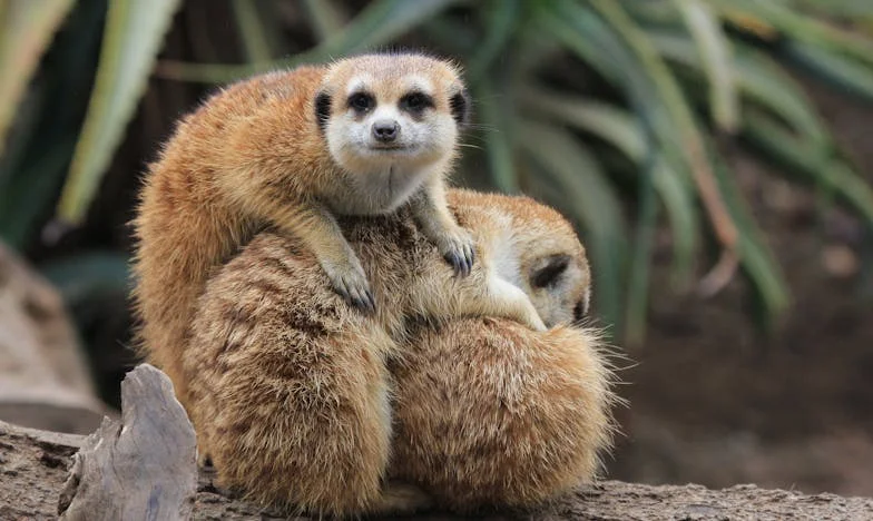 Mon frère a tout sacrifié pour ses enfants, mais ils l'ont abandonné quand il a eu le plus besoin d'eux