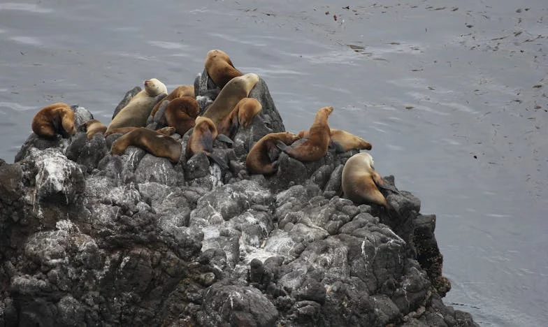 Quand la fierté s'effondre : Un vendredi soir qui a tout changé