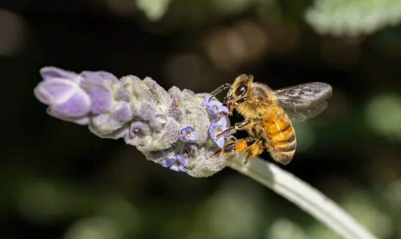 Quand la prière devient mon seul refuge : ma bataille silencieuse avec ma belle-mère