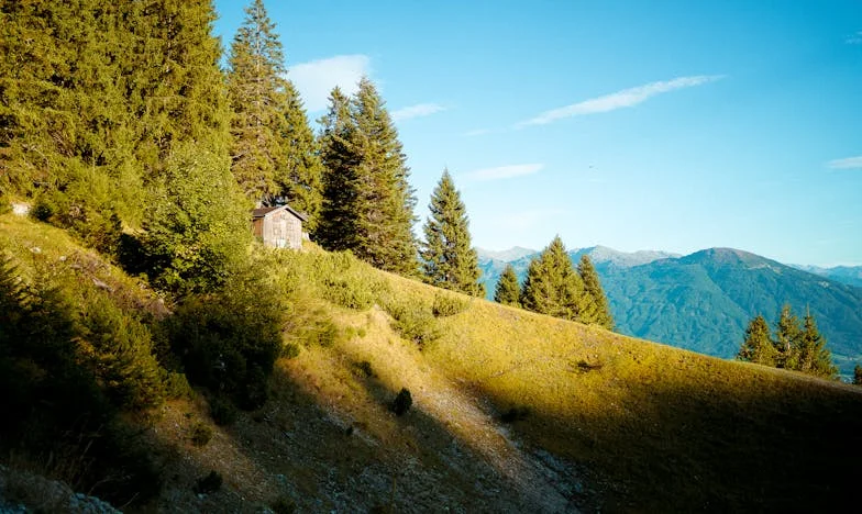 Quand l’amour devient une cage : le jour où j’ai quitté la maison de mon mari et sa mère