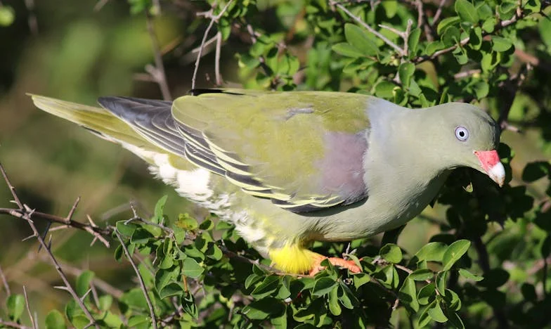 Quand l’amour et l’ambition s’entrechoquent : Mon choix impossible entre carrière et famille