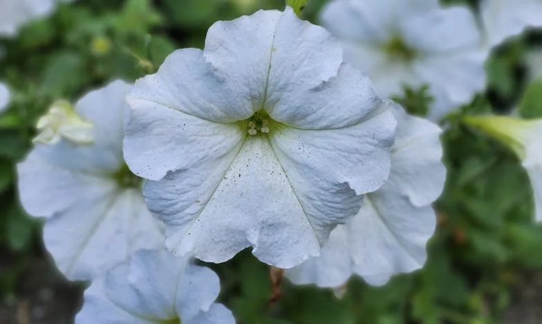 Quand le frigo est vide et le cœur déborde : Mon fils ne veut pas partir