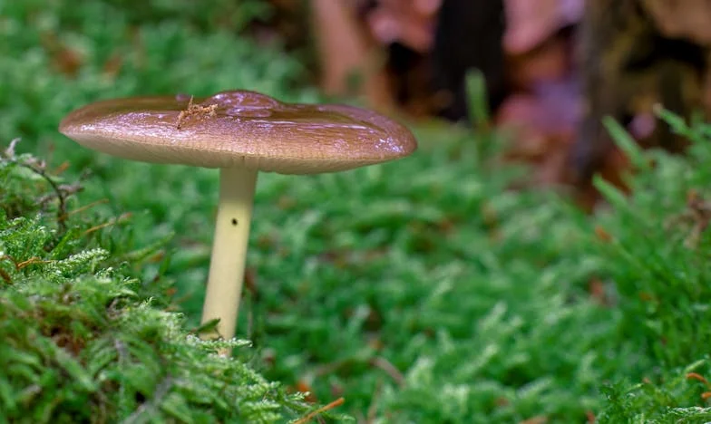 Quand ma tante et mon cousin ont bouleversé ma vie : l’avertissement que je n’ai pas su écouter