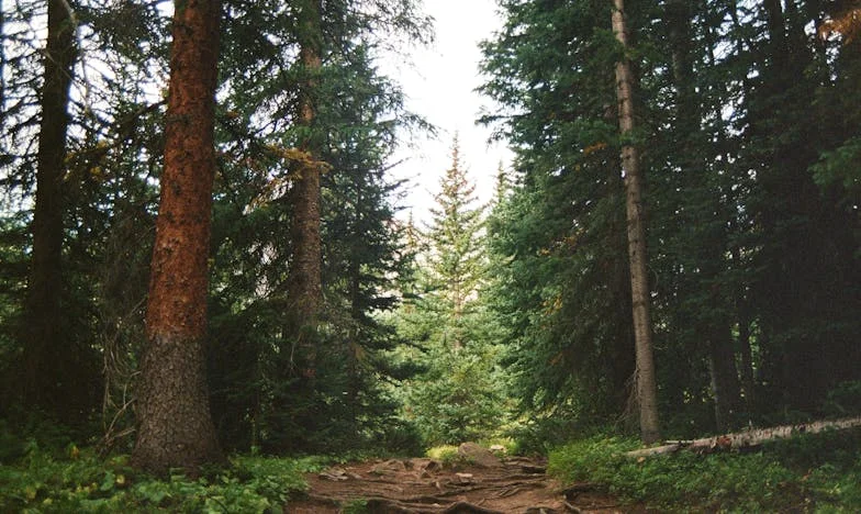 Quand mon propre sang devient un étranger : le combat d’une mère pour sa fille