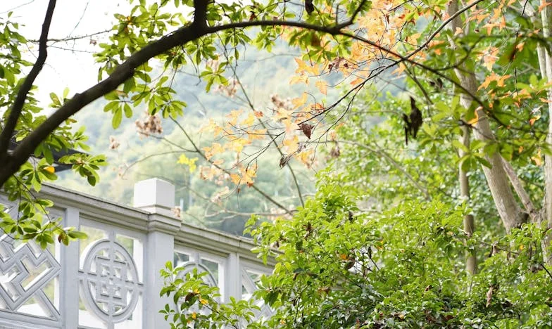 « Arrêtez de gâter vos enfants » : Le cri du cœur d’une mère face à la nouvelle génération