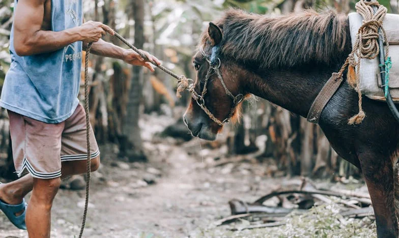Aujourd’hui, j’ai mis mon fils et ma belle-fille à la porte : parce que ma vie n’est pas un hôtel
