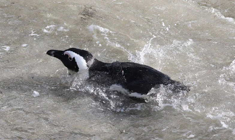 Ce soir-là, quand mes parents m'ont fermé la porte au nez : Mon combat pour exister dans une famille de non-dits