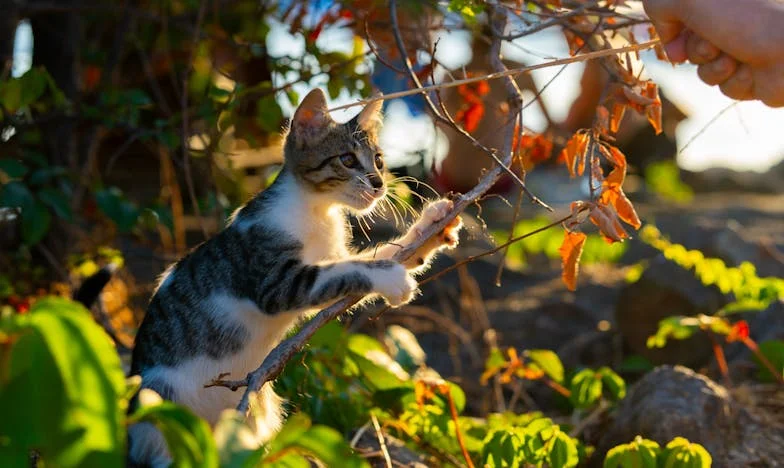 « Désavouée par mes parents après ma grossesse, ils reviennent dix ans plus tard… »