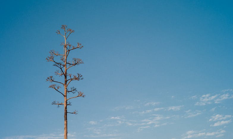 La double vie de mon mari : l’histoire qui a brisé notre famille
