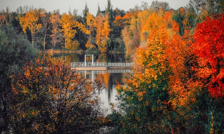 Le jour où tout a basculé : ma famille déchirée par l’héritage de mon père