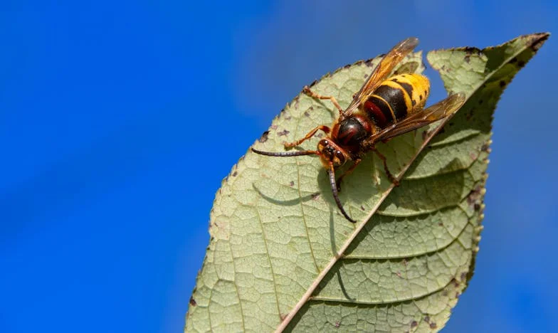 Ma famille, ces profiteurs : Comment Amélie et moi avons décidé de dire stop