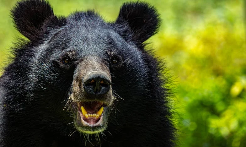 Mon fils a brisé notre famille — Pourrai-je un jour lui pardonner ?