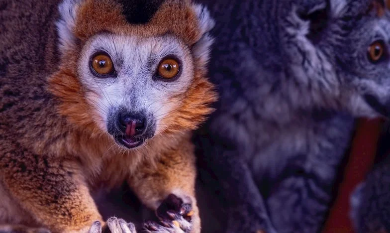 Quand ma belle-sœur a fermé la porte : une histoire de famille, de conflits et de réconciliation