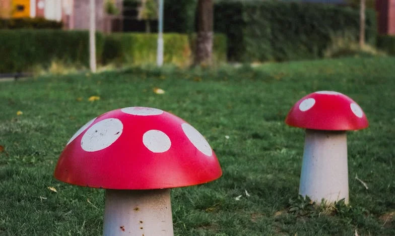 Quand ta propre famille te trahit : Mon histoire de silence, de fierté et de blessures